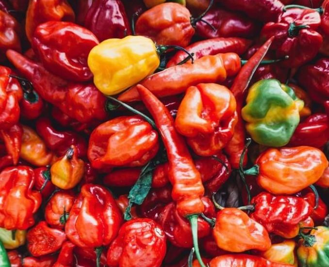 Pepper & Paprika