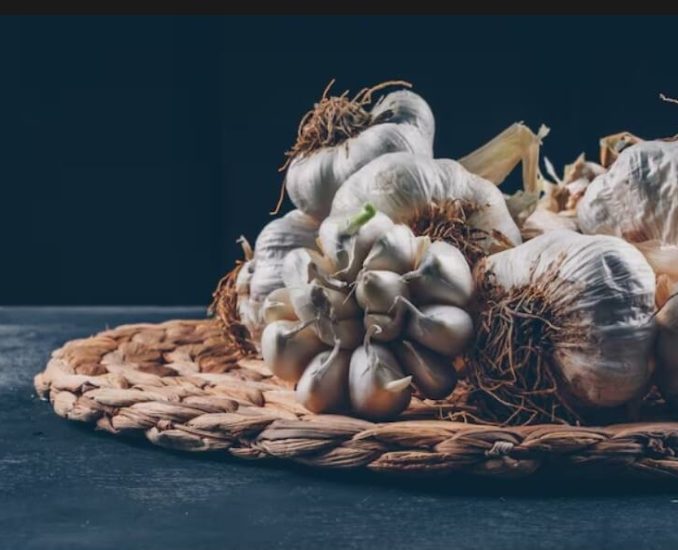 garlic